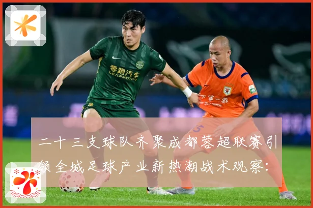 二十三支球队齐聚成都蓉超联赛引领全城足球产业新热潮战术观察：最新赛事动态与深度分析